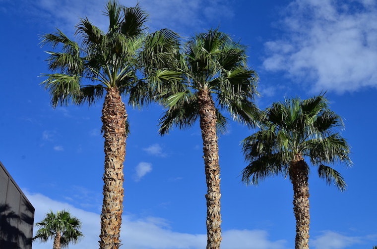 Top Las Vegas news: Man guilty of identity theft in tax fraud case; stabbing in east valley park