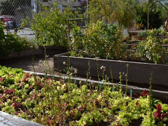 Get A Backyard Soil Toxicity Test, Courtesy Of Soil Scouts