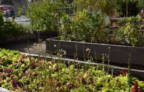 Get A Backyard Soil Toxicity Test, Courtesy Of Soil Scouts