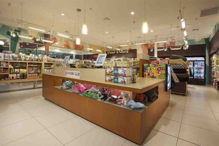 Long Beach's top 4 pet stores to visit now