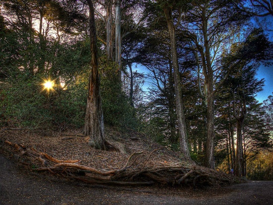 Funding Secured For Panhandle And Buena Vista Park Improvements