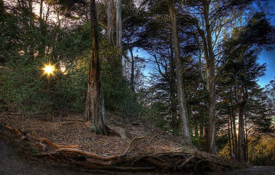 Funding Secured For Panhandle And Buena Vista Park Improvements