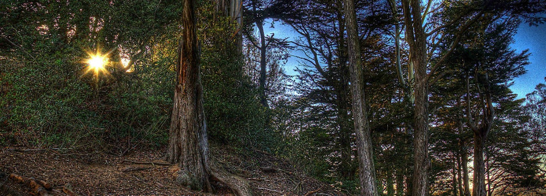 Funding Secured For Panhandle And Buena Vista Park Improvements