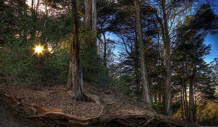 Funding Secured For Panhandle And Buena Vista Park Improvements