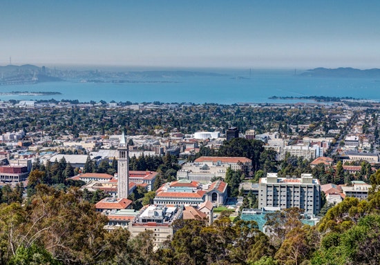 Top Berkeley news: People's Bazaar closes; police search for man who attacked woman in home; more