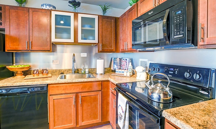 What apartments will $1,000 rent you in Old Louisville, today?