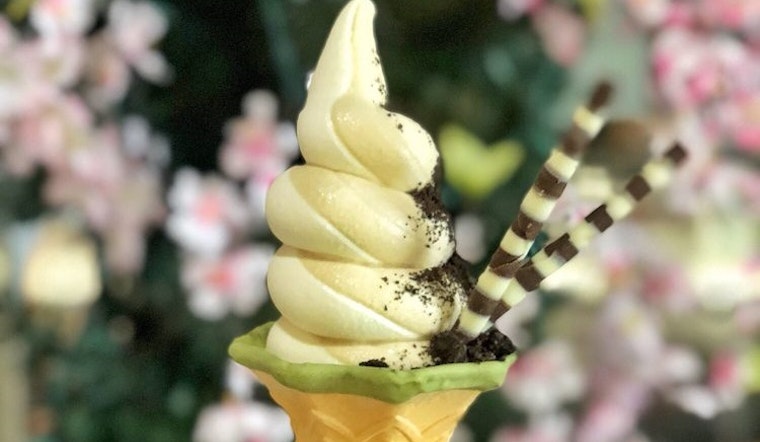These 4 new SF ice cream shops aim to offer something new