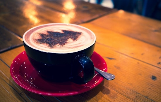 5 ways to enjoy your week in New Orleans