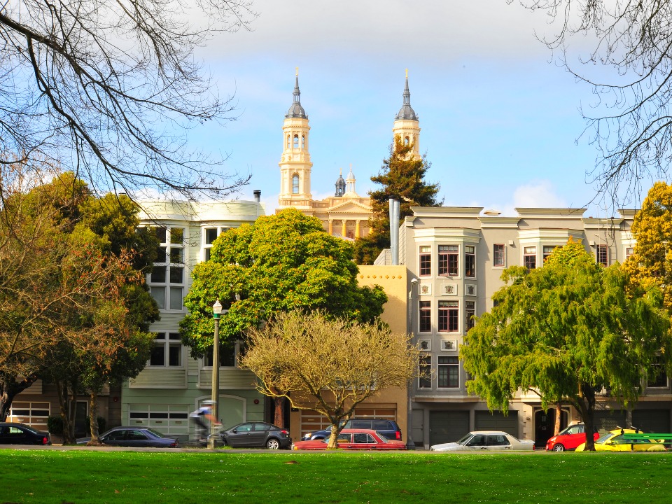 Meet The North Of The Panhandle Neighborhood Association