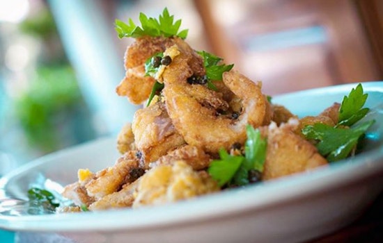 Spend big on New American eats at these top Tampa eateries