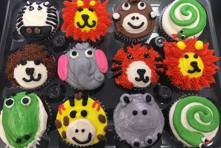 Small bites: Where to celebrate National Cupcake Day in San Antonio