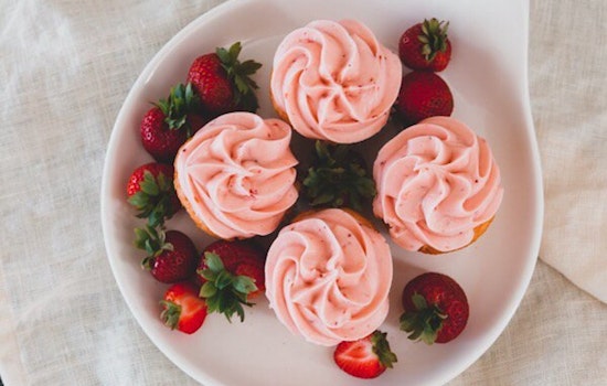 Small bites: Where to celebrate National Cupcake Day in New Orleans