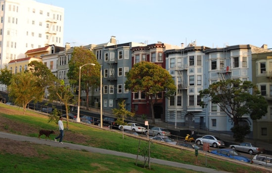 Meet The Alamo Square Neighborhood Association (ASNA)
