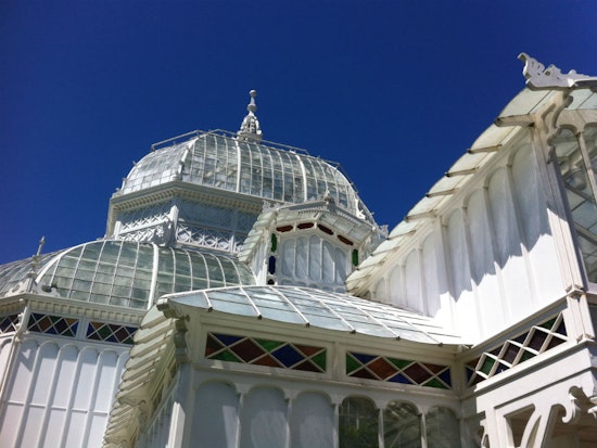 Behind The Scenes At The San Francisco Conservatory Of Flowers