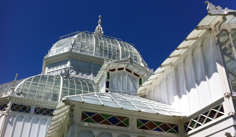 Behind The Scenes At The San Francisco Conservatory Of Flowers