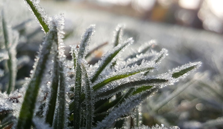 Weather forecast in Boston