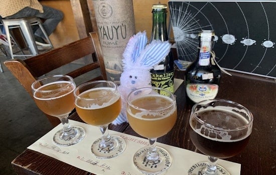 Orlando's top 4 breweries, ranked