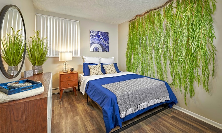 Renting in Colorado Springs: What's the cheapest apartment available right now?