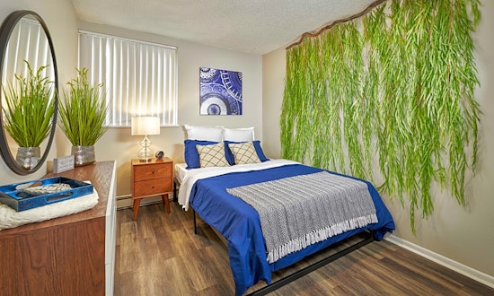 Renting in Colorado Springs: What's the cheapest apartment available right now?
