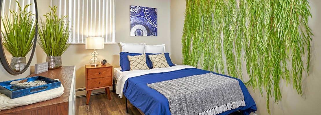 Renting in Colorado Springs: What's the cheapest apartment available right now?