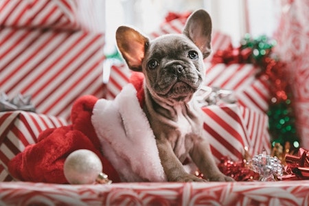5 events worth checking out in Phoenix this week