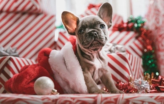 5 events worth checking out in Phoenix this week