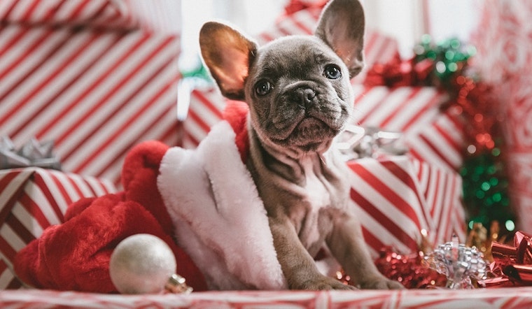 5 events worth checking out in Phoenix this week