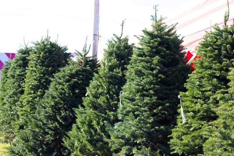 Visit these Sacramento shops to beat the Christmas Eve rush