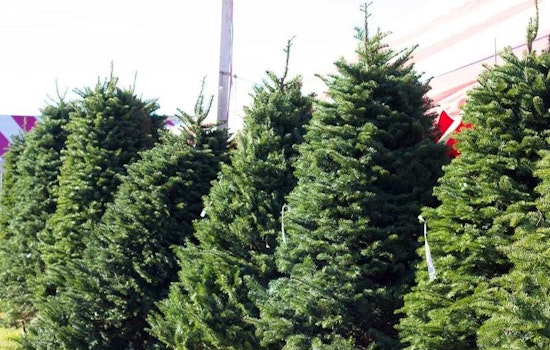 Visit these Sacramento shops to beat the Christmas Eve rush