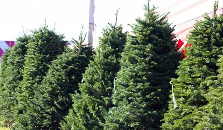 Visit these Sacramento shops to beat the Christmas Eve rush
