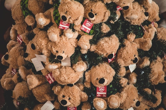 Top Dallas news: Nonprofit donates 3,000 stuffed bears; cops arrest porch pirates; more