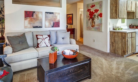 Apartments for rent in Albuquerque: What will $600 get you?