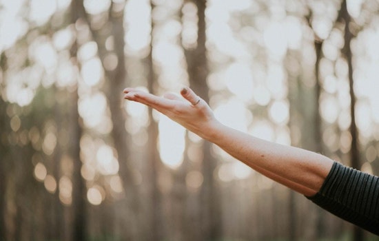Cincinnati boasts a hot lineup of sports and fitness deals this week