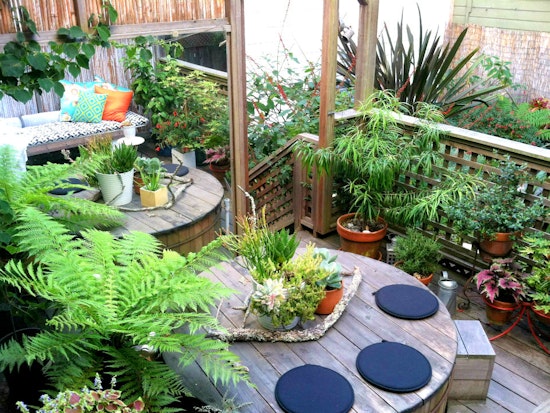 Calling All Neighborhood Gardeners