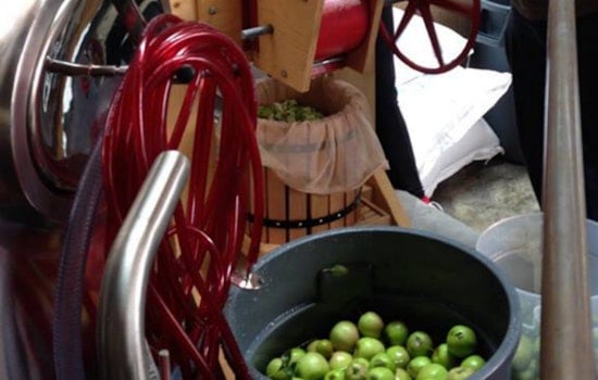 Divisadero Libations Roundup, September Edition