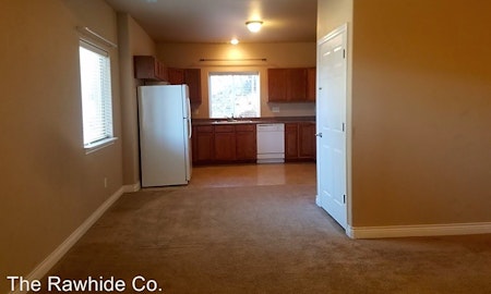 What apartments will $1,000 rent you in northeast Colorado Springs this month?