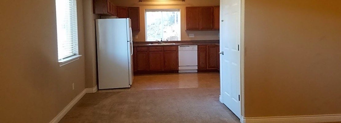 What apartments will $1,000 rent you in northeast Colorado Springs this month?