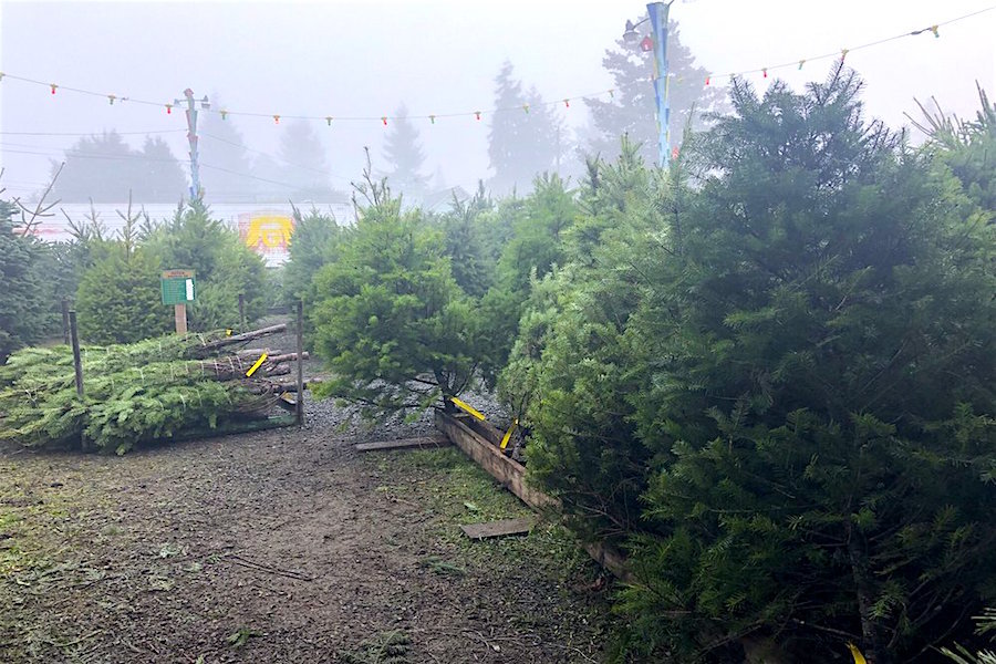 Visit these Seattle shops to beat the Christmas Eve rush