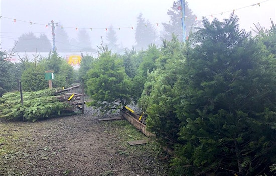 Visit these Seattle shops to beat the Christmas Eve rush
