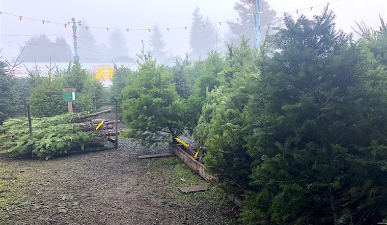 Visit these Seattle shops to beat the Christmas Eve rush