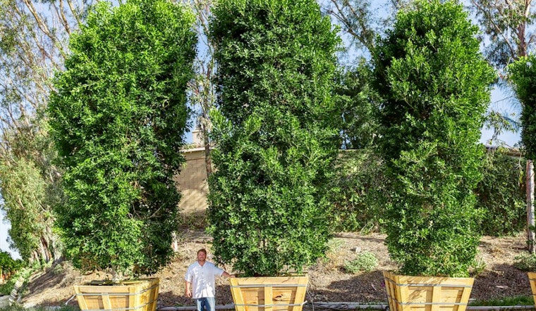 Irvine's 5 top plant nurseries