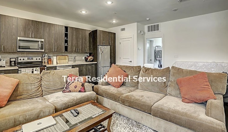 Budget apartments for rent in Midtown, Houston