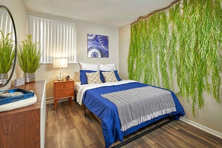 Renting in Colorado Springs: What's the cheapest apartment available right now?