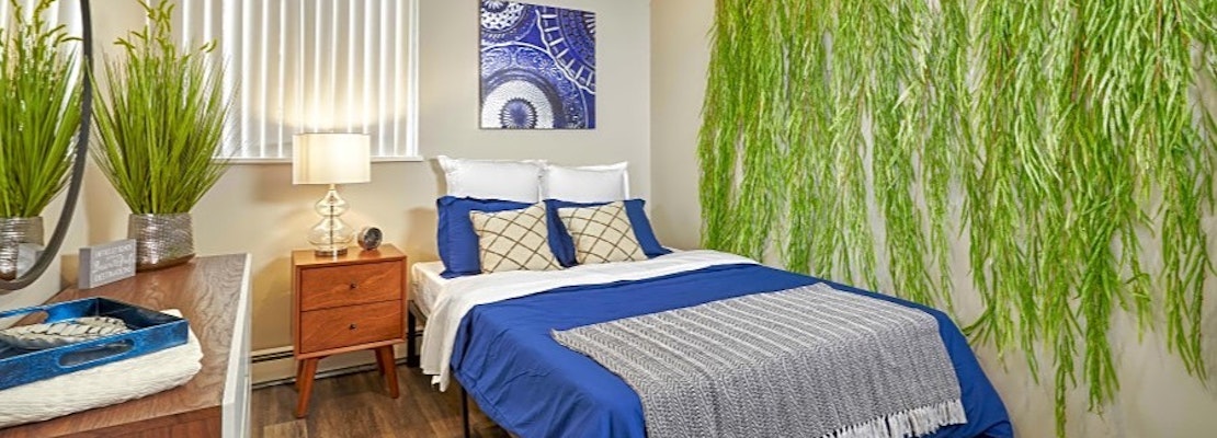 Renting in Colorado Springs: What's the cheapest apartment available right now?