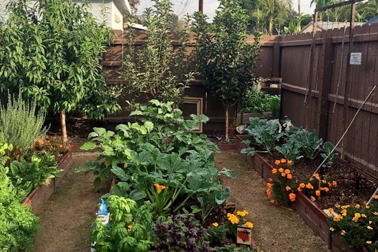 The 3 best plant nurseries in Santa Ana
