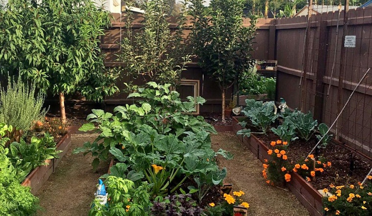 The 3 best plant nurseries in Santa Ana