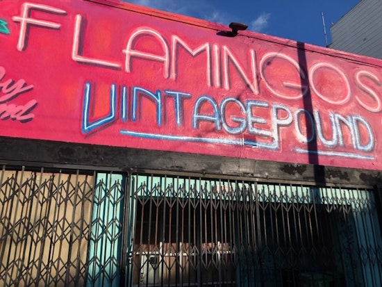 With clothes on the racks, Flamingos Vintage Pound remains closed pending city permitting decision