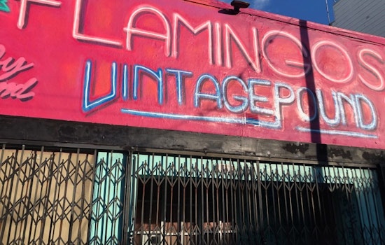 With clothes on the racks, Flamingos Vintage Pound remains closed pending city permitting decision