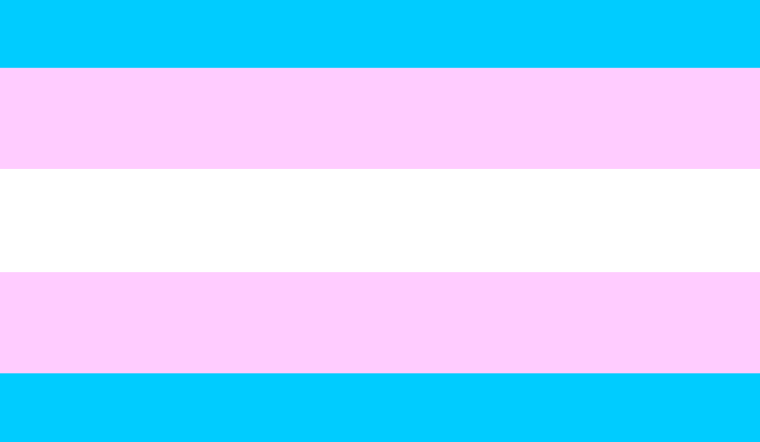 MUMC denies request to fly Trans flag for Trans Day of Remembrance