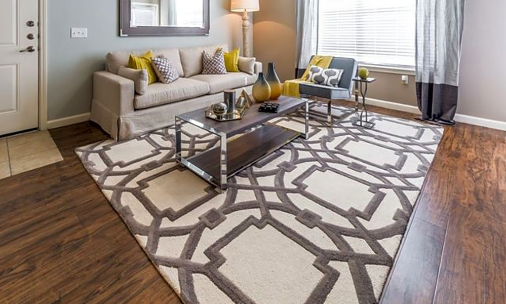 The most affordable apartments for rent in Friedrich Wilderness Park,